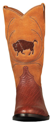 Bison-(alt)