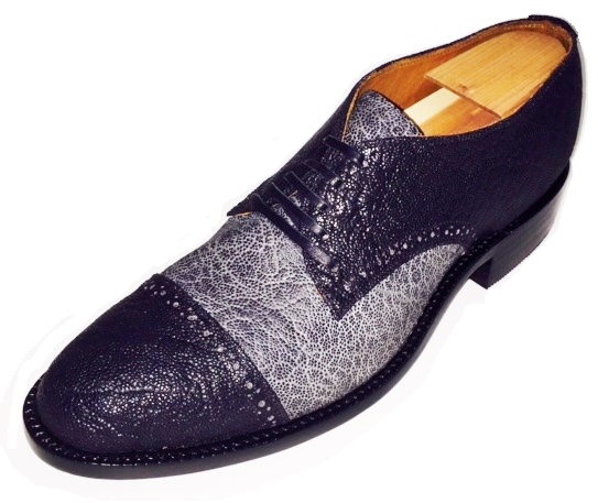 Elephant Oxford
