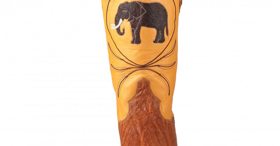 Elephant1