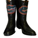 Florida Gator2