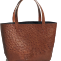 Ostrich Tote