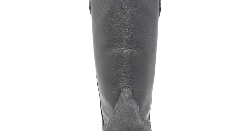 Wildlife Hippo Back