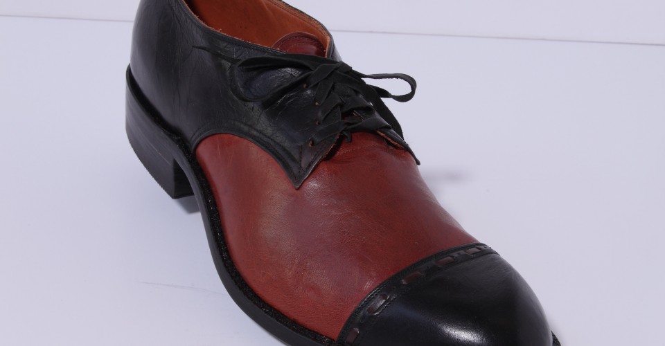 shoe